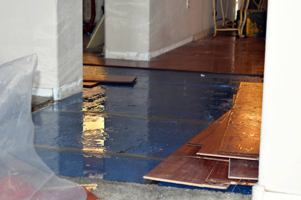 Professional Burst Pipe Water Damage technician working in Roanoke, TX